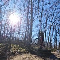 lorenco_mali.nub