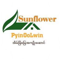 sunflowerpol