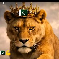 faisalkambu13