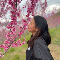 minh2__4