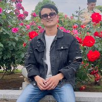 dilipnp41