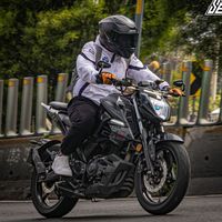 the_lemus