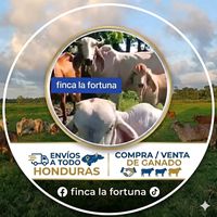finca.la.fortuna20