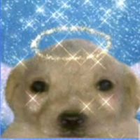 fer_vb02