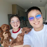 Italian brainrot song