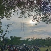 suara asli - ni