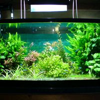 オリジナル楽曲 - ヒロ💫✨💖🧚💫✨💫