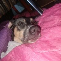 gabriella.santos3476