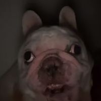 naomi_lo.pez