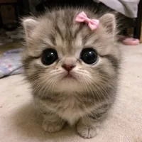 original sound - user8810393877883