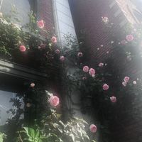 fe_____x