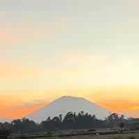 suara asli - sintiaratna