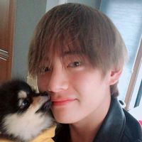 bts__army114