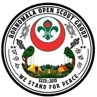 scout.bosg