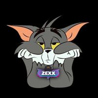 zexx_preset_edit
