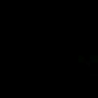 adileneprivv_