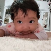 jery.jess