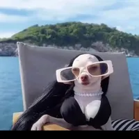 original sound - tuchyjv