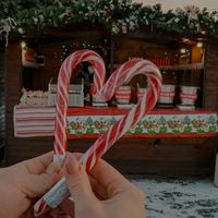 vaib_zima_24
