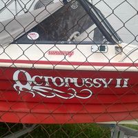 octopussy495