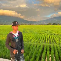 original sound - tonitu.reis