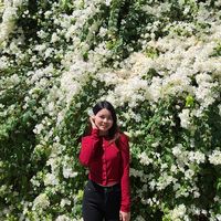 pyae.pyae96424