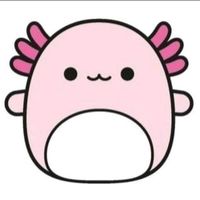 nahomionce0