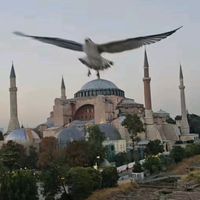 metafizik_uzmani.muzaffe