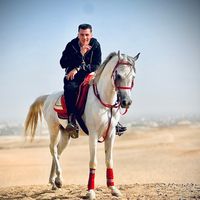 sayed.sobh