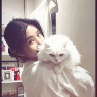 katseyedreamiess
