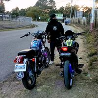 pjsvj