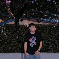 suara asli - Cricket