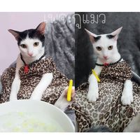 grumeaw