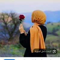 user6815568861252