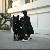 roro_alnajar