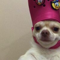 оригинальный звук