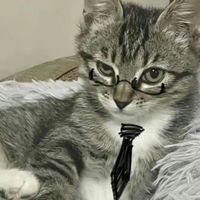zoe00706