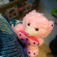 dokqa.princess