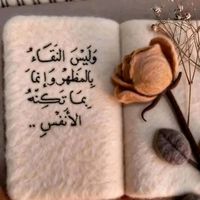 user2851497989484