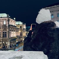 akiiovdee