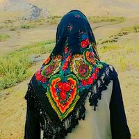 s.can_73