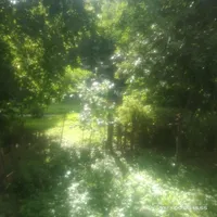 original sound - _il0azm