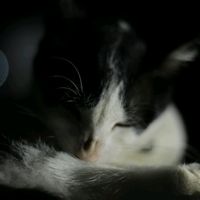 suara asli - 45Akiyo (am prem? cek biyo😹)
