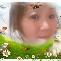 aliceho143