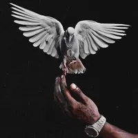 original sound - stunteditz