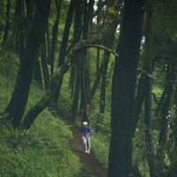 suara asli - Calon imamku