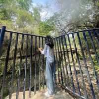 ms_prashna