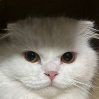 sadboii0