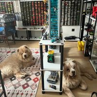 legodiecast