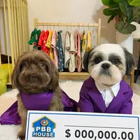 original sound - gigicoco_